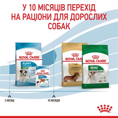 Корм для цуценят малих порід ROYAL CANIN MINI PUPPY, на вагу 500 г