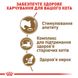 Корм для зрілих домашніх котів ROYAL CANIN AGEING 12+(від 12 років) 2.0 кг, 2 кг