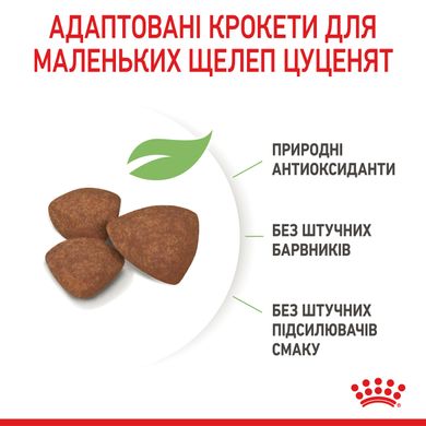 Корм для цуценят малих порід ROYAL CANIN MINI PUPPY, на вагу 1000 г