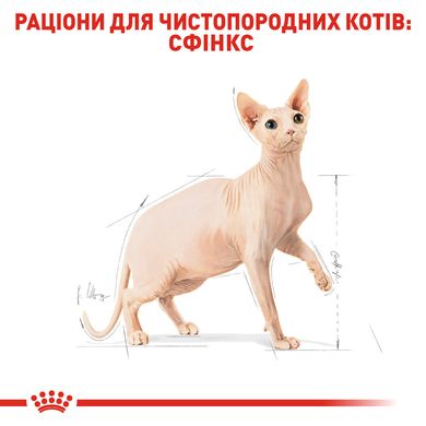 Корм для дорослих котів породи Сфінкс ROYAL CANIN SPHYNX ADULT 2.0 кг