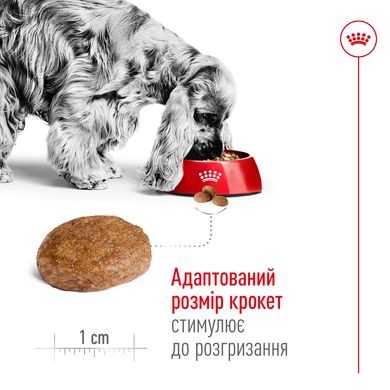 Корм для дорослих собак середніх порід віком ROYAL CANIN MEDIUM ADULT 7+(від 7 років) 4 кг, 4 кг