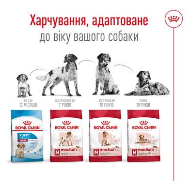 Корм для взрослых собак средних пород ROYAL CANIN MEDIUM ADULT 7+(от 7 лет ) 4 кг, 4 кг