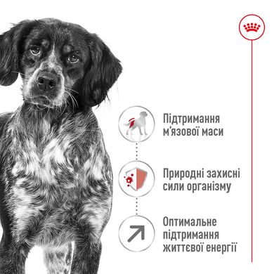 Корм для дорослих собак середніх порід віком ROYAL CANIN MEDIUM ADULT 7+(від 7 років) 4 кг, 4 кг