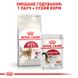 Корм для домашних и уличных кошек ROYAL CANIN FIT 2.0 кг