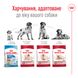 Корм для взрослых собак средних пород ROYAL CANIN MEDIUM ADULT 7+(от 7 лет ) 4 кг, 4 кг