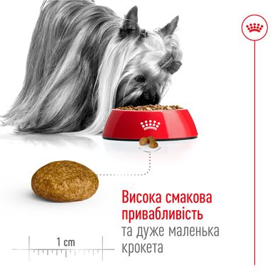 Сухий корм для дорослих собак дрібних порід ROYAL CANIN XSMALL ADULT, на вагу 250 г