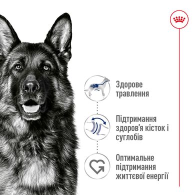 Корм для дорослих собак великих порід ROYAL CANIN MAXI ADULT 4.0 кг