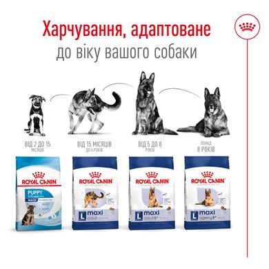 Корм для дорослих собак великих порід ROYAL CANIN MAXI ADULT 4.0 кг