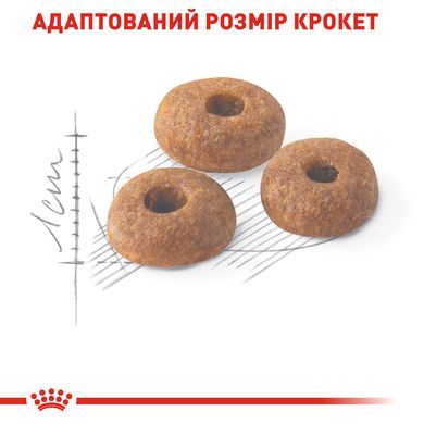 Корм для домашніх і вуличних котів ROYAL CANIN FIT 4.0 кг