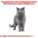 Корм для дорослих котів породи Британська короткошерста ROYAL CANIN BRITISH SHORTHAIR ADULT 2.0 кг