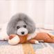 Жевательная мягкая игрушка для собак PLUSH LION DOG TOY - лев