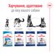 Корм для дорослих собак великих порід ROYAL CANIN MAXI ADULT 4.0 кг