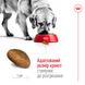 Корм для дорослих собак великих порід ROYAL CANIN MAXI ADULT 4.0 кг