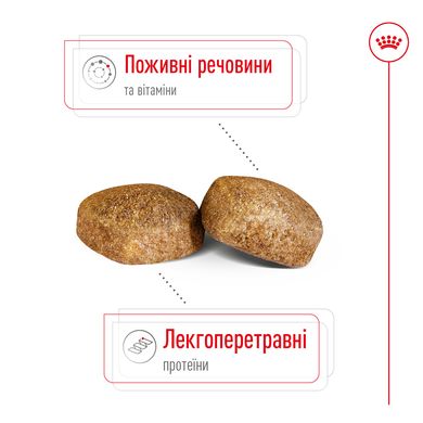 Корм для дорослих собак гігантських порід ROYAL CANIN GIANT ADULT 4.0 кг