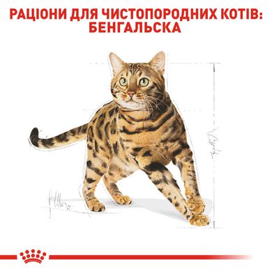 Корм для дорослих котів породи Бенгальська ROYAL CANIN BENGAL ADULT 2.0 кг, 2 кг