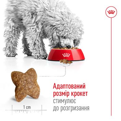 Корм для взрослых собак малых пород ROYAL CANIN MINI ADULT, на развес 250 г