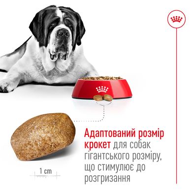 Корм для дорослих собак гігантських порід ROYAL CANIN GIANT ADULT 4.0 кг