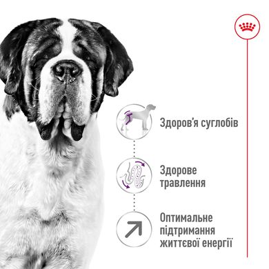 Корм для дорослих собак гігантських порід ROYAL CANIN GIANT ADULT 4.0 кг