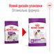 Корм для дорослих собак гігантських порід ROYAL CANIN GIANT ADULT 4.0 кг