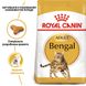 Корм для дорослих котів породи Бенгальська ROYAL CANIN BENGAL ADULT 2.0 кг, 2 кг