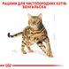 Корм для дорослих котів породи Бенгальська ROYAL CANIN BENGAL ADULT 2.0 кг, 2 кг