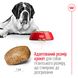 Корм для дорослих собак гігантських порід ROYAL CANIN GIANT ADULT 4.0 кг