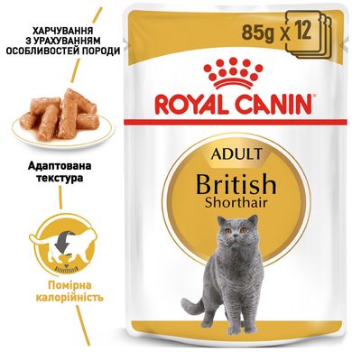 Вологий корм для дорослих котів ROYAL CANIN BRITISH SHORTHAIR ADULT 0.085 кг, 0.085 кг