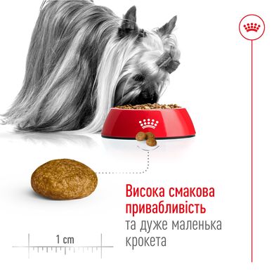 Корм для дорослих собак ROYAL CANIN XSMALL ADULT 8+(віком від 8 років) 3 кг, 3 кг