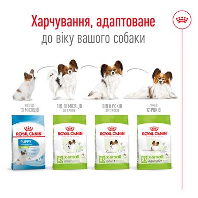 Корм для дорослих собак ROYAL CANIN XSMALL ADULT 8+(віком від 8 років) 3 кг, 3 кг