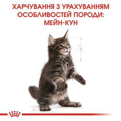 Корм для котят породы Мейн-Кун ROYAL CANIN MAINECOON KITTEN 0.4 кг