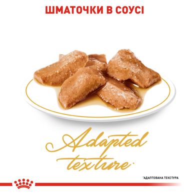 Вологий корм для дорослих котів ROYAL CANIN MAINECOON ADULT 0.085 кг, 0.085 кг