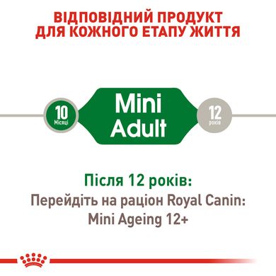 Вологий корм для дорослих собак ROYAL CANIN MINI ADULT IN GRAVY 0.085 кг, 0.085 кг