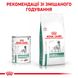 Влажный корм для взрослых собак ROYAL CANIN DIABETIC SPECIAL LC DOG Cans 0.41 кг, 0.41 кг