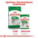 Вологий корм для дорослих собак ROYAL CANIN MINI ADULT IN GRAVY 0.085 кг, 0.085 кг