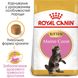 Корм для кошенят породи Мейн-Кун ROYAL CANIN MAINECOON KITTEN 0.4 кг