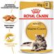 Вологий корм для дорослих котів ROYAL CANIN MAINECOON ADULT 0.085 кг, 0.085 кг