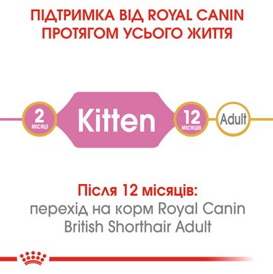 Корм для кошенят породи Британська короткошерста ROYAL CANIN KITTEN BRITISH SHORTHAIR 0.4 кг