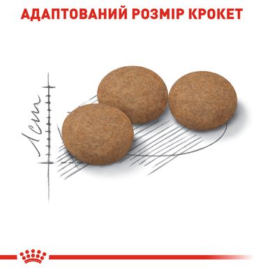 Корм для дорослих стерилізованих котів ROYAL CANIN STERILISED 12+(віком від 12 років) 2.0 кг, 2 кг