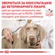 Влажный корм для взрослых собак и котов ROYAL CANIN RECOVERY 0.195 кг