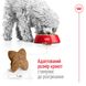 Корм для дорослих собак малих порід ROYAL CANIN MINI ADULT 4.0 кг