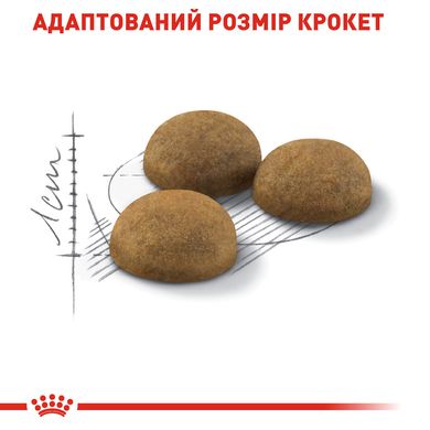 Корм для домашних длинношерстных кошек ROYAL CANIN INDOOR LONGHAIR 2.0 кг, 2 кг