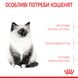 Корм для котят ROYAL CANIN KITTEN 4.0 кг