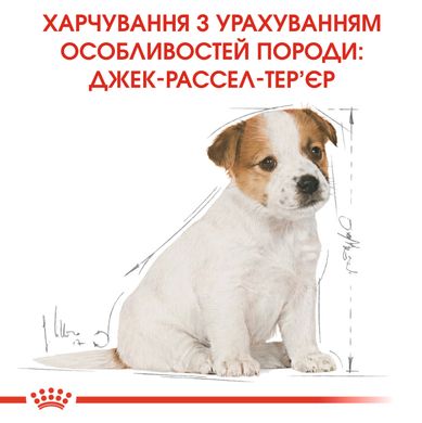 Корм для щенков породы Джек-Рассел-терьер ROYAL CANIN JACK RUSSEL PUPPY 1.5 кг, 1.5 кг