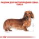 Корм для взрослых собак породы ROYAL CANIN DACHSHUND ADULT 1.5 кг, 1.5 кг