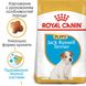 Корм для цуценят породи Джек-Рассел-тер'єр ROYAL CANIN JACK RUSSEL PUPPY 1.5 кг, 1.5 кг