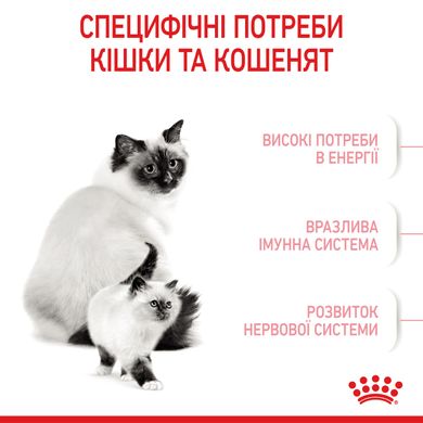 Корм для кошенят віком від 1 до 4 місяців і кішок під час вагітності ROYAL CANIN MOTHER&BABYCAT 10.0 кг