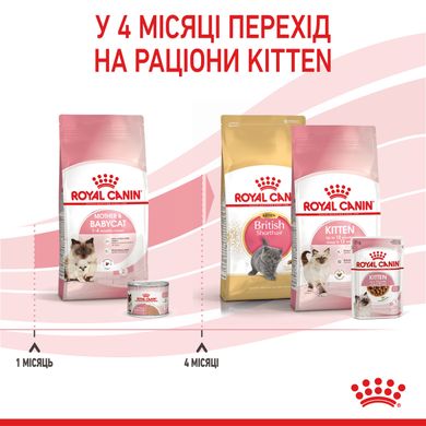 Корм для кошенят віком від 1 до 4 місяців і кішок під час вагітності ROYAL CANIN MOTHER&BABYCAT 10.0 кг