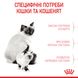 Корм для котят от 1 до 4 месяцев и кошек во время беременности ROYAL CANIN MOTHER&BABYCAT 10.0 кг