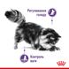 Корм для взрослых стерилизованных кошек ROYAL CANIN APPETITE CONTROL CARE 2.0 кг, 2 кг