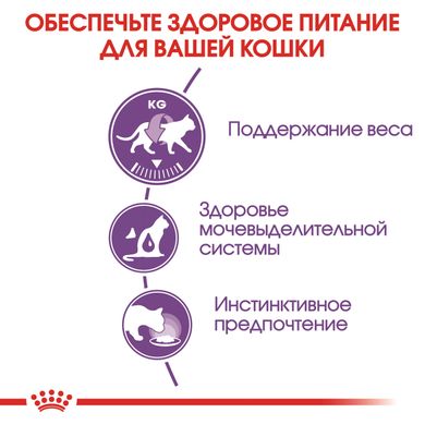 Вологий корм для дорослих стерилізованих котів ROYAL CANIN STERILISED IN JELLY 0.085 кг, 0.085 кг